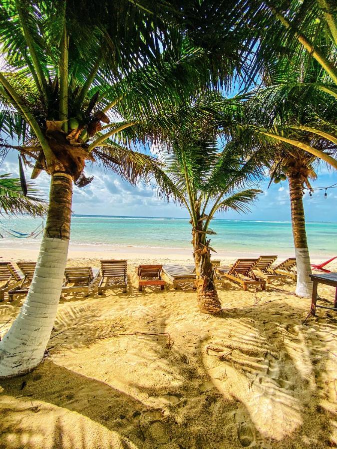 Eco Cabanas Bluekay ماهاهوال المظهر الخارجي الصورة