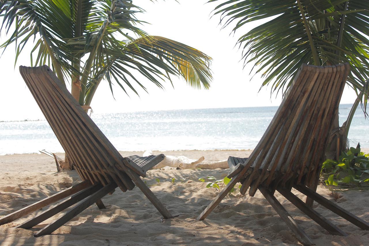 Eco Cabanas Bluekay ماهاهوال المظهر الخارجي الصورة