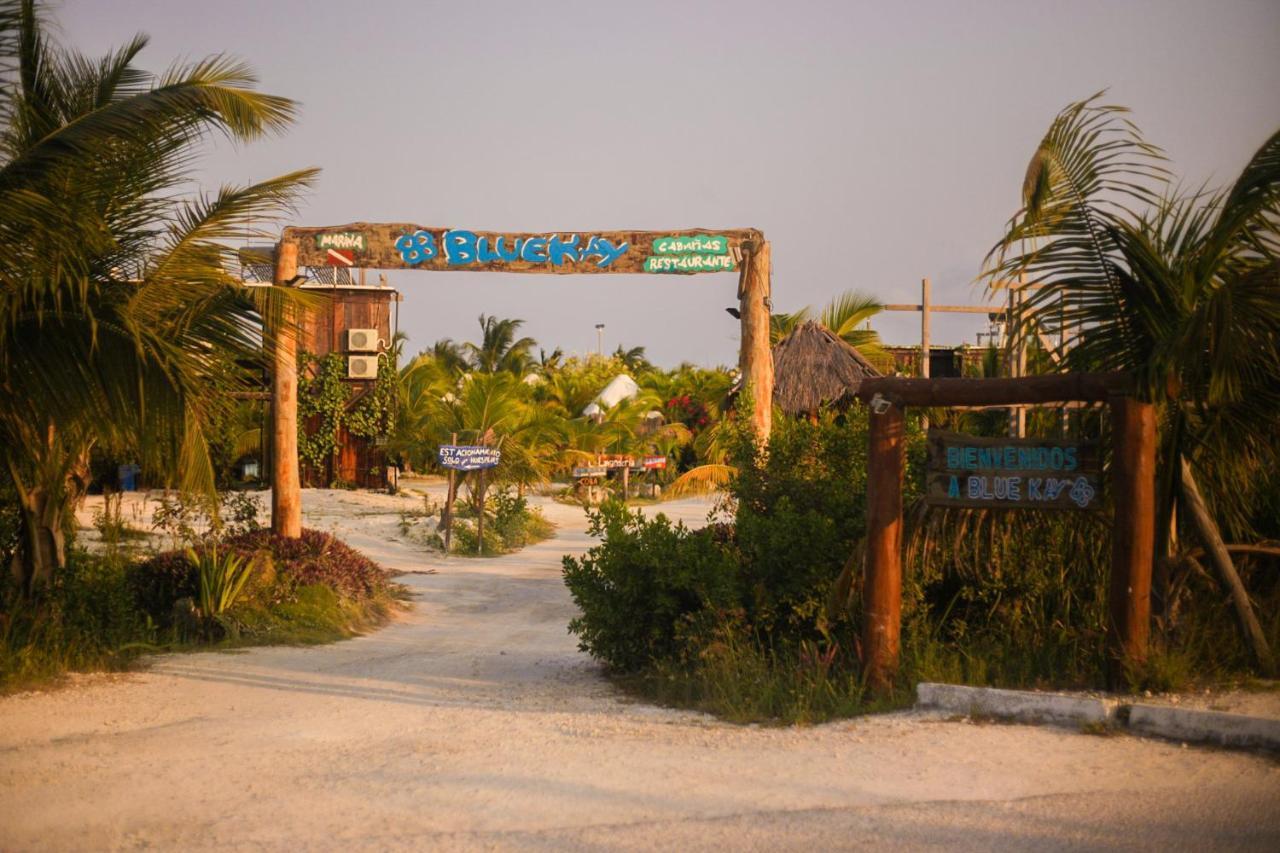 Eco Cabanas Bluekay ماهاهوال المظهر الخارجي الصورة